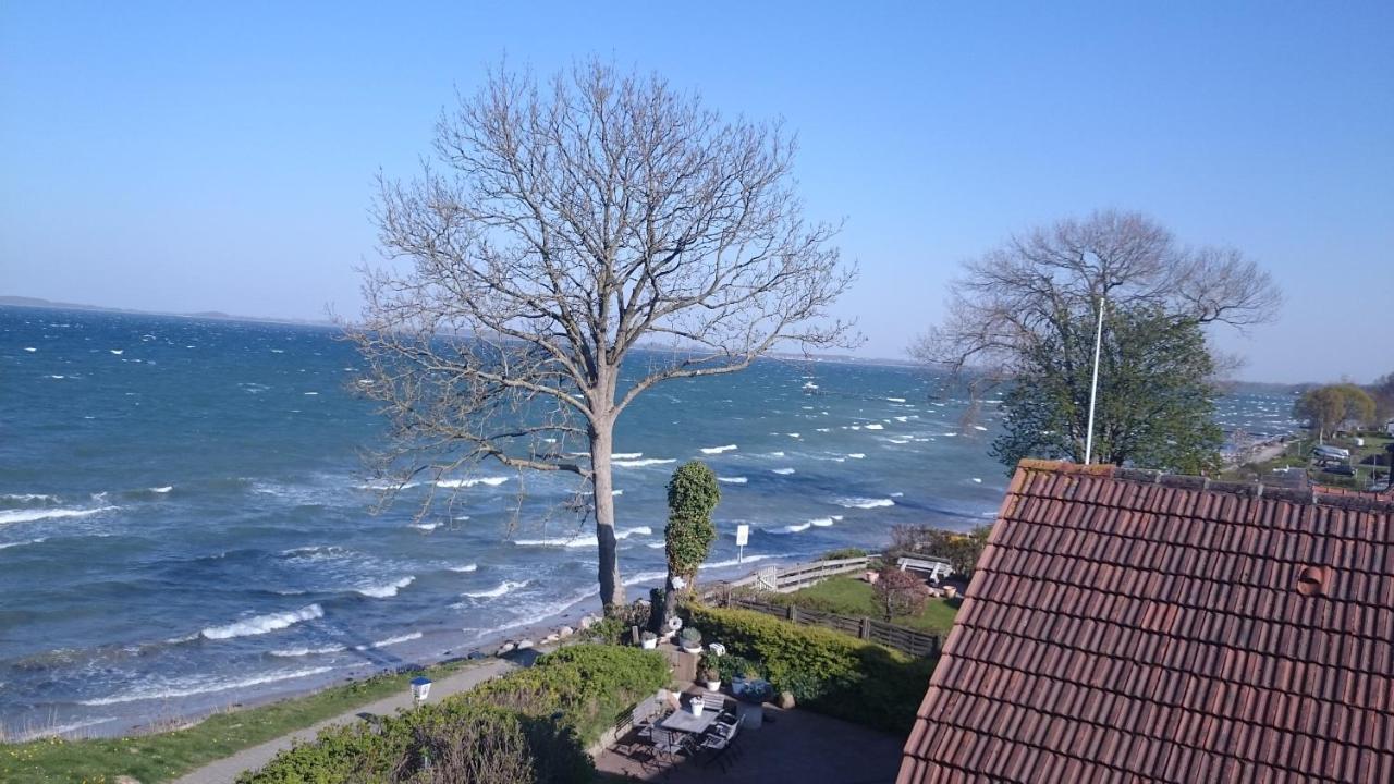 Steinberg  Strandappartements Steinberghaff "Kegnaes" Mit Meerblick Und Sauna מראה חיצוני תמונה