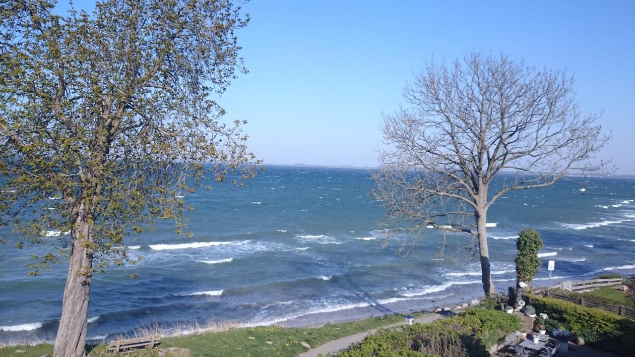 Steinberg  Strandappartements Steinberghaff "Kegnaes" Mit Meerblick Und Sauna מראה חיצוני תמונה